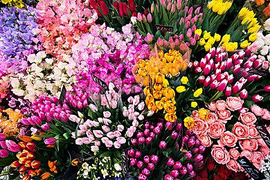 《妮姬：胜利女神》情人节活动曝光 完美女仆登场